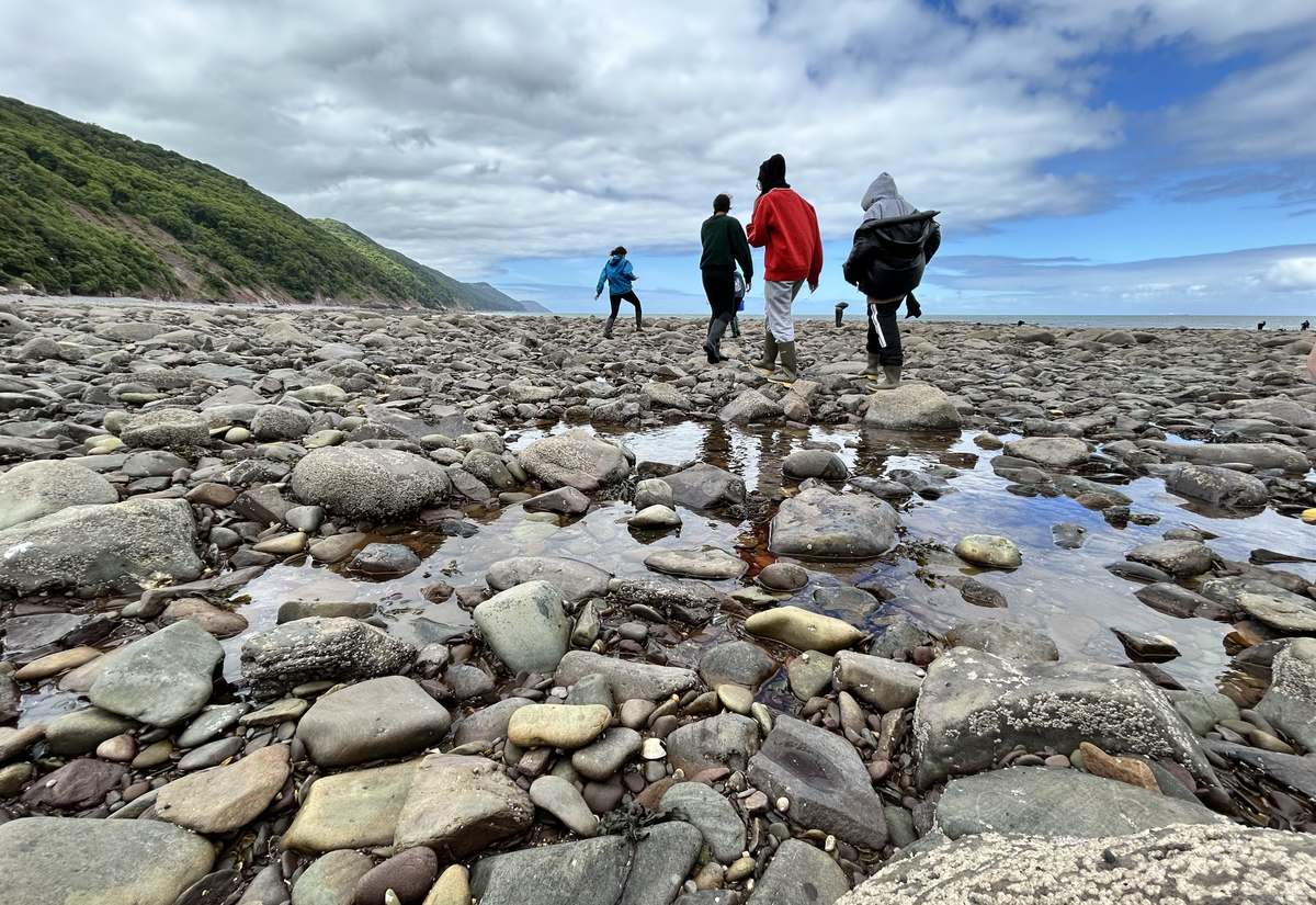 Students exploring the shoreline on a field trip